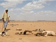 Cảnh báo nắng nóng chưa từng có khi El Niño trở lại vào năm 2023